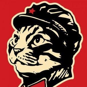 ACatWithAHatIT's profile picture. 