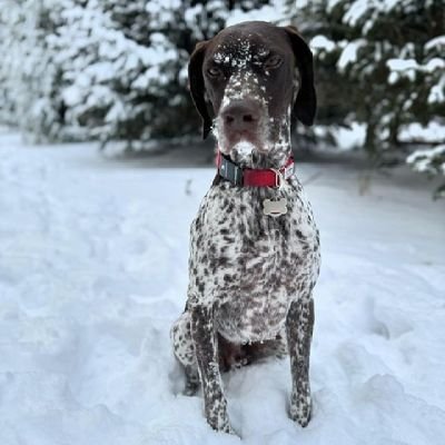 MuirDavidJ59225's profile picture. JOURNALIST 🎤🎤🎤