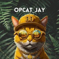OPCAT_JAY (@jay018494369171) 's Twitter Profile
