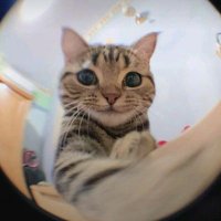Bella (@bellafe19420) Twitter profile photo