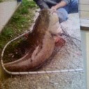 william(bj) mitchell - @bjmitchell79 - Twitter