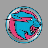 MrBeast on Base(@MrBeastcoinbase) 's Twitter Profile Photo