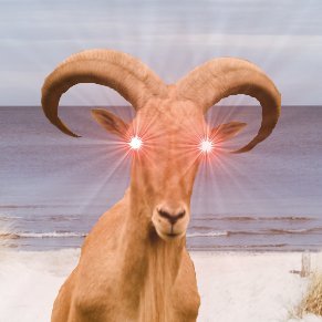 kaleidoskop_xt's profile picture. 
