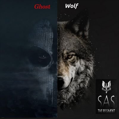 GhostWolfSAS's profile picture. BodyGuard , Protection, Secret Service & Private Security ... VIP

PersonenSchutz  und Schutz VIP , Privat Detektiv

Stay Frosty