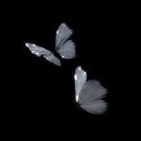 Semra (@semraozkan03) 's Twitter Profile Photo Semra (@semraozkan03) 's Twitter Profile Photo