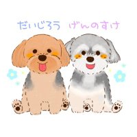 大ちゃん源ちゃんごきげんワンズ (@daigen_gokigen) 's Twitter Profile Photo 大ちゃん源ちゃんごきげんワンズ (@daigen_gokigen) 's Twitter Profile Photo