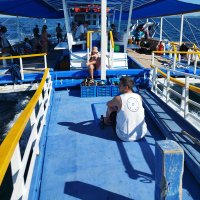 Gabi B (@gabi08bp) 's Twitter Profile Photo