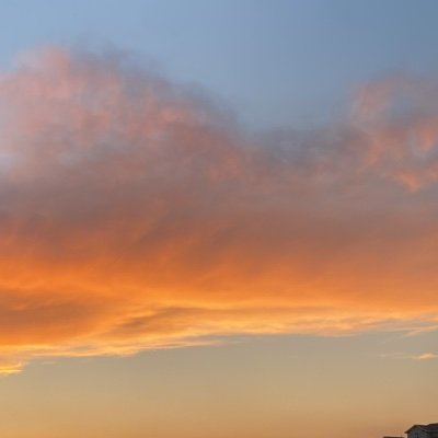 DanaAcademia's profile picture. 🧠