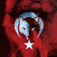🇹🇷TÜRK💫SOYLU🇹🇷 (@turk_soylu_) 's Twitter Profile