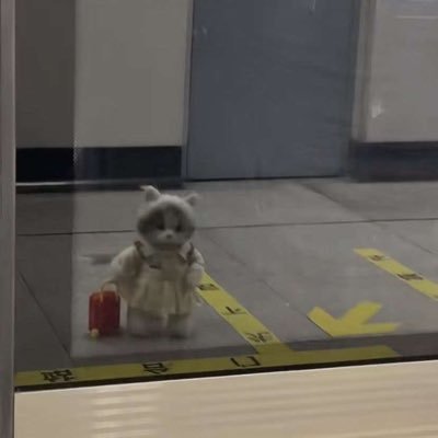 VvvVev_'s profile picture. 