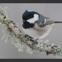 Melanie Backer - @melaniebacker - Twitter