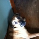 Kyle Ferry - @its_little_kyle - Twitter