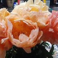 Ayesha Heaton (@ayeshamheaton) 's Twitter Profile Photo