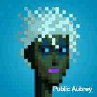 publcaubrey's profile picture. Now, every nft can contain digital assets. what's in your nft?