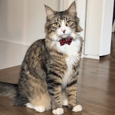 WmsAmy's profile picture. 