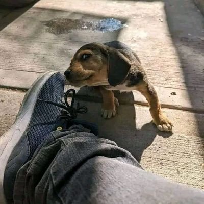 KabakBenitez's profile picture. 