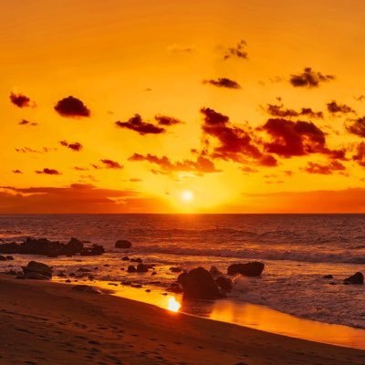 UGO___3's profile picture. 