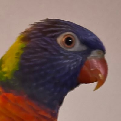 macpunc's profile picture. NSP AOD Harm Reduction Community Engagement Worker. leave things better than you found them.