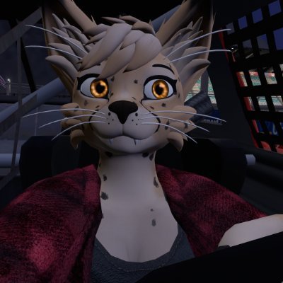 The rad Texan furry gamer you all know and love! You may see me on VRChat as RexWolfenVRC1, so don’t be afraid to say hello!