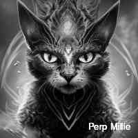 Perp Millie (@millliepperp) 's Twitter Profile