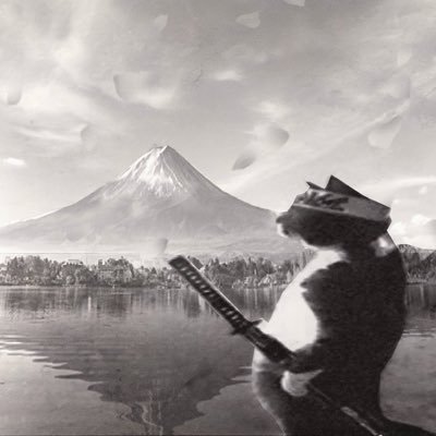 chatcp3's profile picture. 