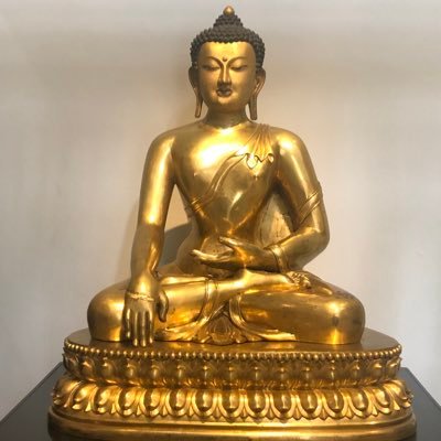 ana01924805's profile picture. 