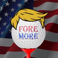Fore More Years SOL (@foremoresol) 's Twitter Profile