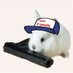 Rabitron Plays (@rabitrong) Twitter profile photo Rabitron Plays (@rabitrong) Twitter profile photo