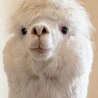 dK (@dkcrypto1) 's Twitter Profile Photo dK (@dkcrypto1) 's Twitter Profile Photo