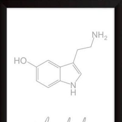 PRETOSHOW94's profile picture. 