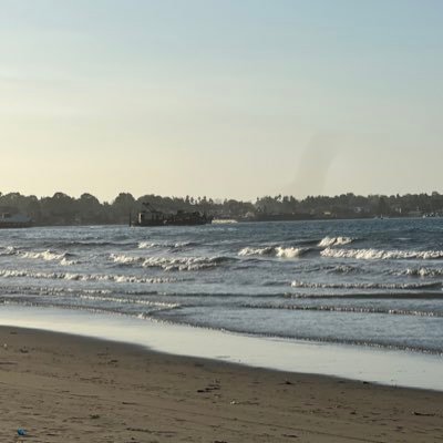 Matrixyl10's profile picture. 