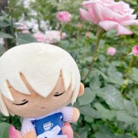 えるる📡一ヶ岳登頂済 (@el_dcl) 's Twitter Profile