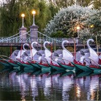 Barbed Wires 🥂🎊🎉 (@bbbmarsh) 's Twitter Profile