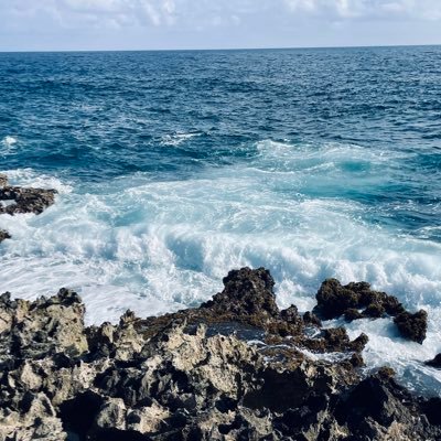 KMckinn97064422's profile picture. 