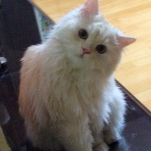 vnfma1's profile picture. 