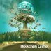 Blockchain Crafter (@ccrafterblockc) Twitter profile photo Blockchain Crafter (@ccrafterblockc) Twitter profile photo