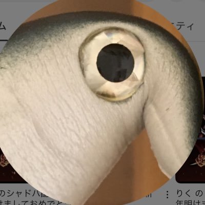 ホロ箱推しですが特に高嶺ルイと猫又おかゆ、 音乃瀬 奏推しています！ ホロカもやってます！コスプレイヤーさんだとあゆのちゃんを推しています！
