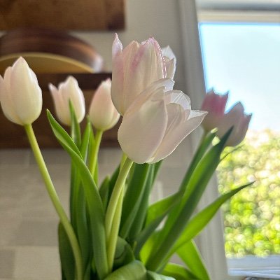 HealthCare Advocate; Supporter of Prince Harry and Meghan; Keep our oceans clean; Be kind