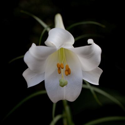 9016saya's profile picture. ❾🐉にいます / 🥷️🥚 / クラゲが好きଳあれもこれも好き。写真撮る。節操無し。成人。