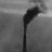 CrearnSnow's profile image