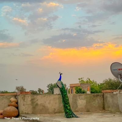 Lakshmikan62614's profile picture. Agriculture Officer