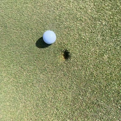 Zach_Torres1's profile picture. EHS Trooper Golfer c/o 2026