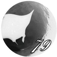 mantaray79 (@aestus01) 's Twitter Profile
