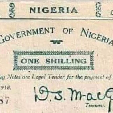 TankoNicholas's profile picture. Growing...