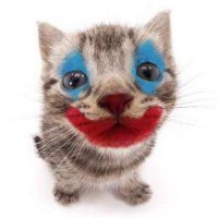 coco (@thisishomo) Twitter profile photo