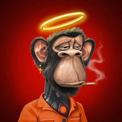 Achilles_nft_'s profile picture. Community manager • Web3 • NFT • Dev • Sol