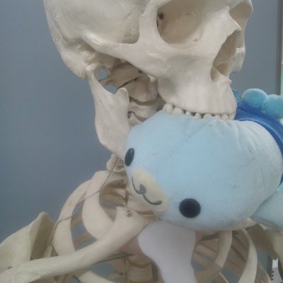 kuroobi21's profile picture. 真面目になれない変人。どうも駄目な大人です。本当にありがとうございました。 
漫画・アニメ・ゲーム・音楽・ライブハウス、背脂を愛する元デブの現標準体重。
25Kg痩せると体が軽い。脳みそも軽い。
2021年11月に腎臓を患い現在減塩生活中。
塩分は減らせるけど背油は減らせない脳汁野郎。