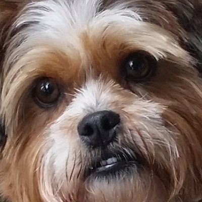 Graeme_kiwi's profile picture. Kia Ora
Aotearoa born and bred