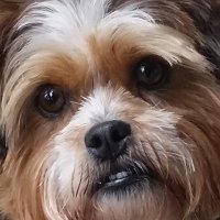 Graeme (@graeme_kiwi) 's Twitter Profile Photo Graeme (@graeme_kiwi) 's Twitter Profile Photo