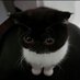 zfy5863 (@mjngwi2) Twitter profile photo zfy5863 (@mjngwi2) Twitter profile photo